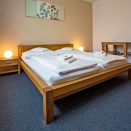 Lions Hotel 3*
