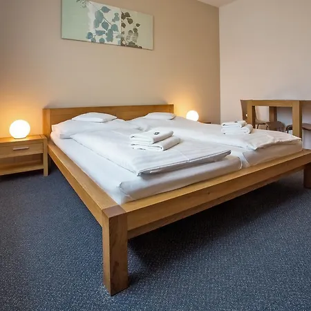 Lions 3* Плзень