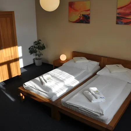 Lions Hotel 3*